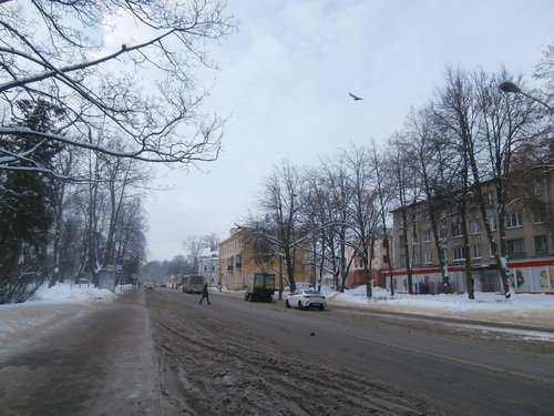 Городской обитатель