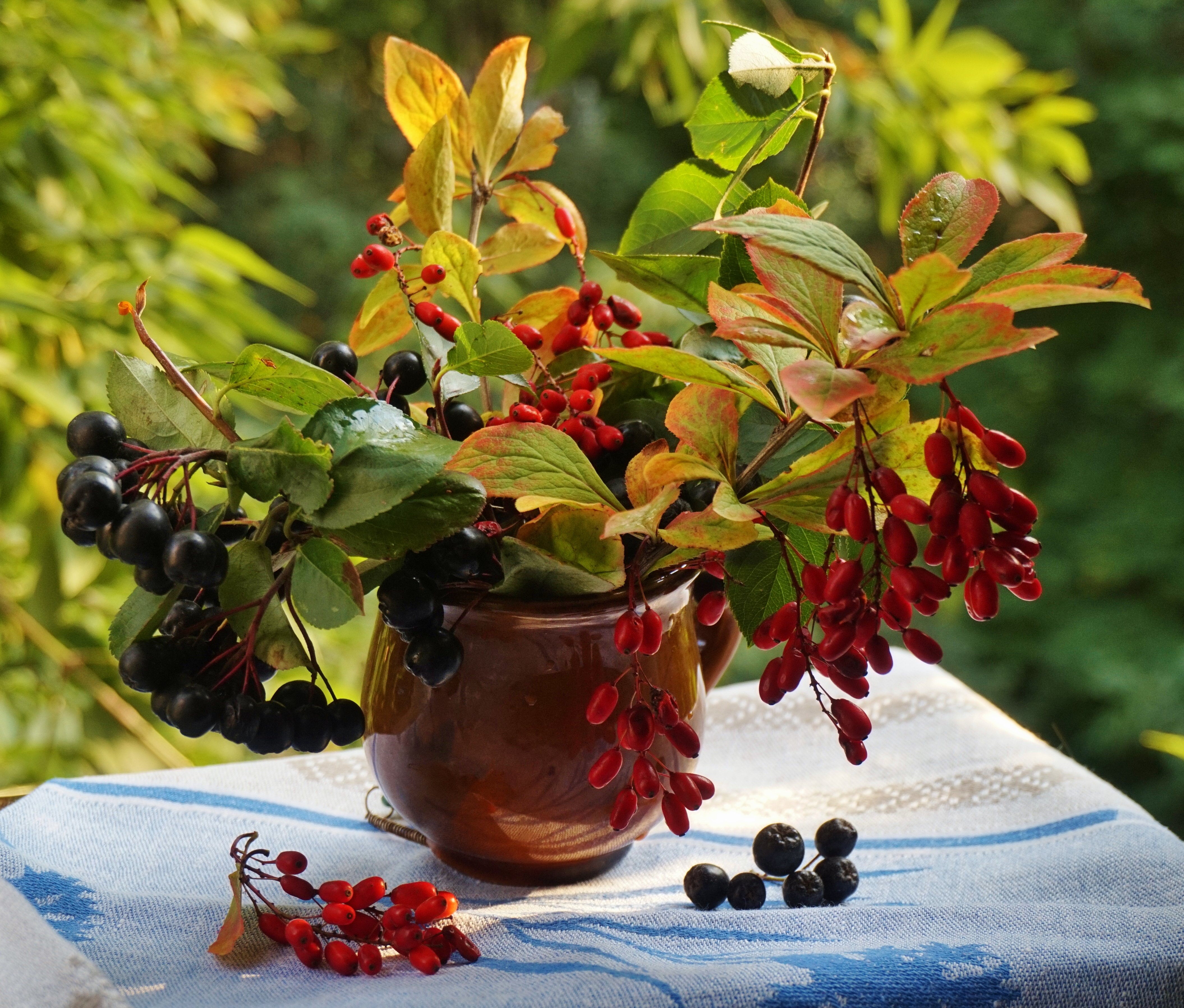 За окнами август от дождя потемнели кусты. Скоро осень. Снова осень, за окнами август. Осень за окном. Скоро осень за окнами август картинки.