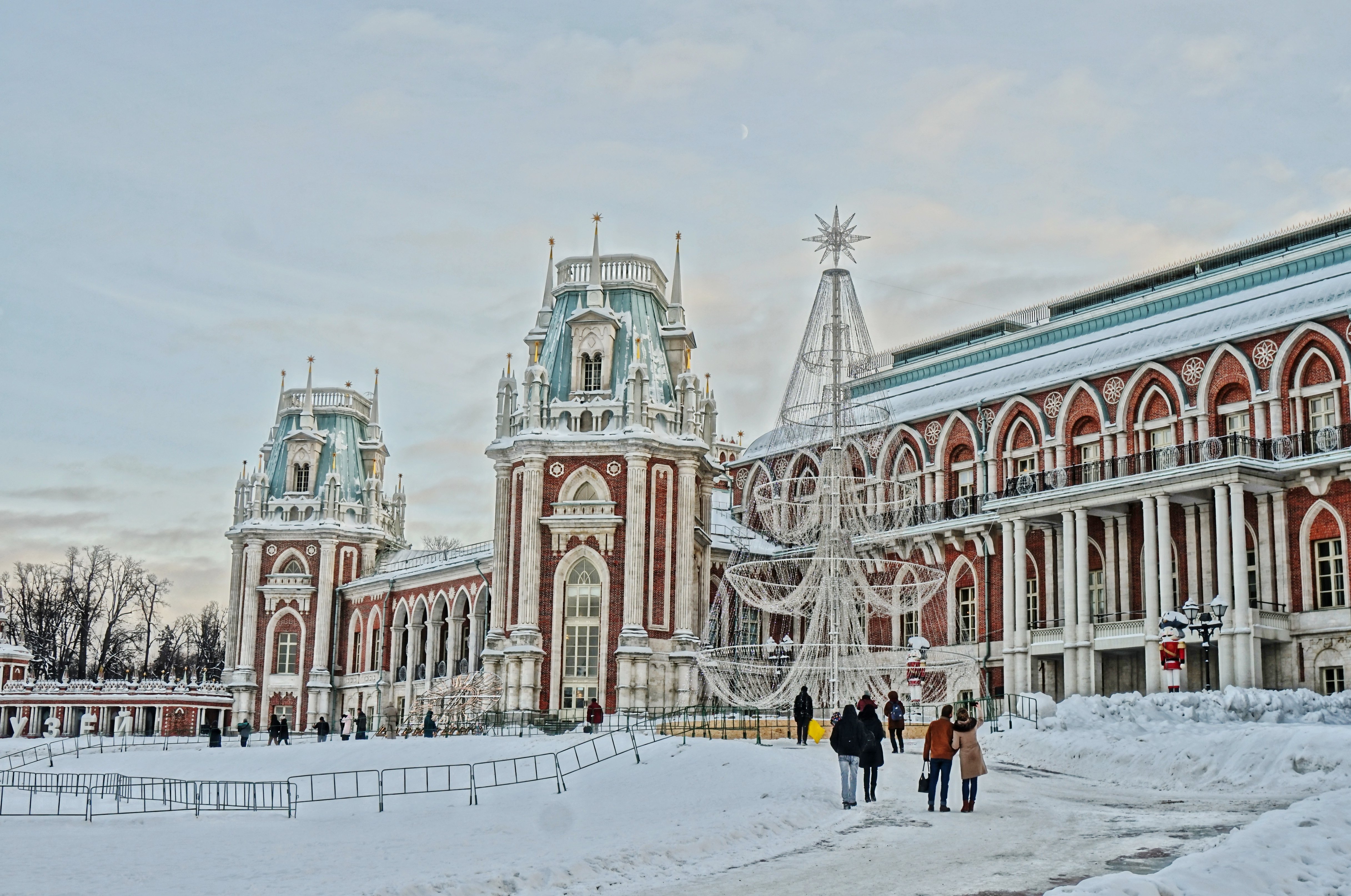 царицыно зимой в москве