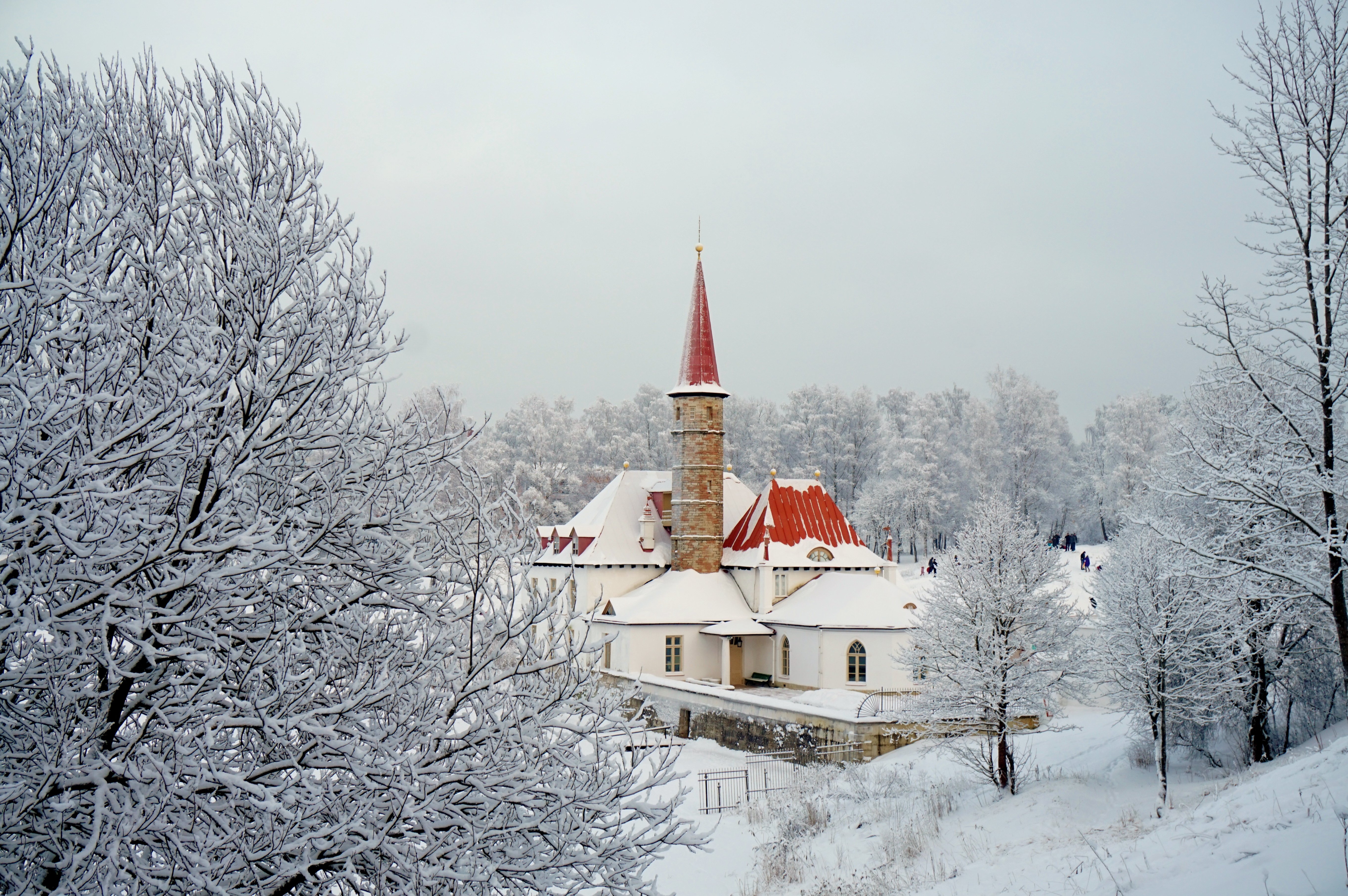 Гатчинский Приоратский дворец зимой