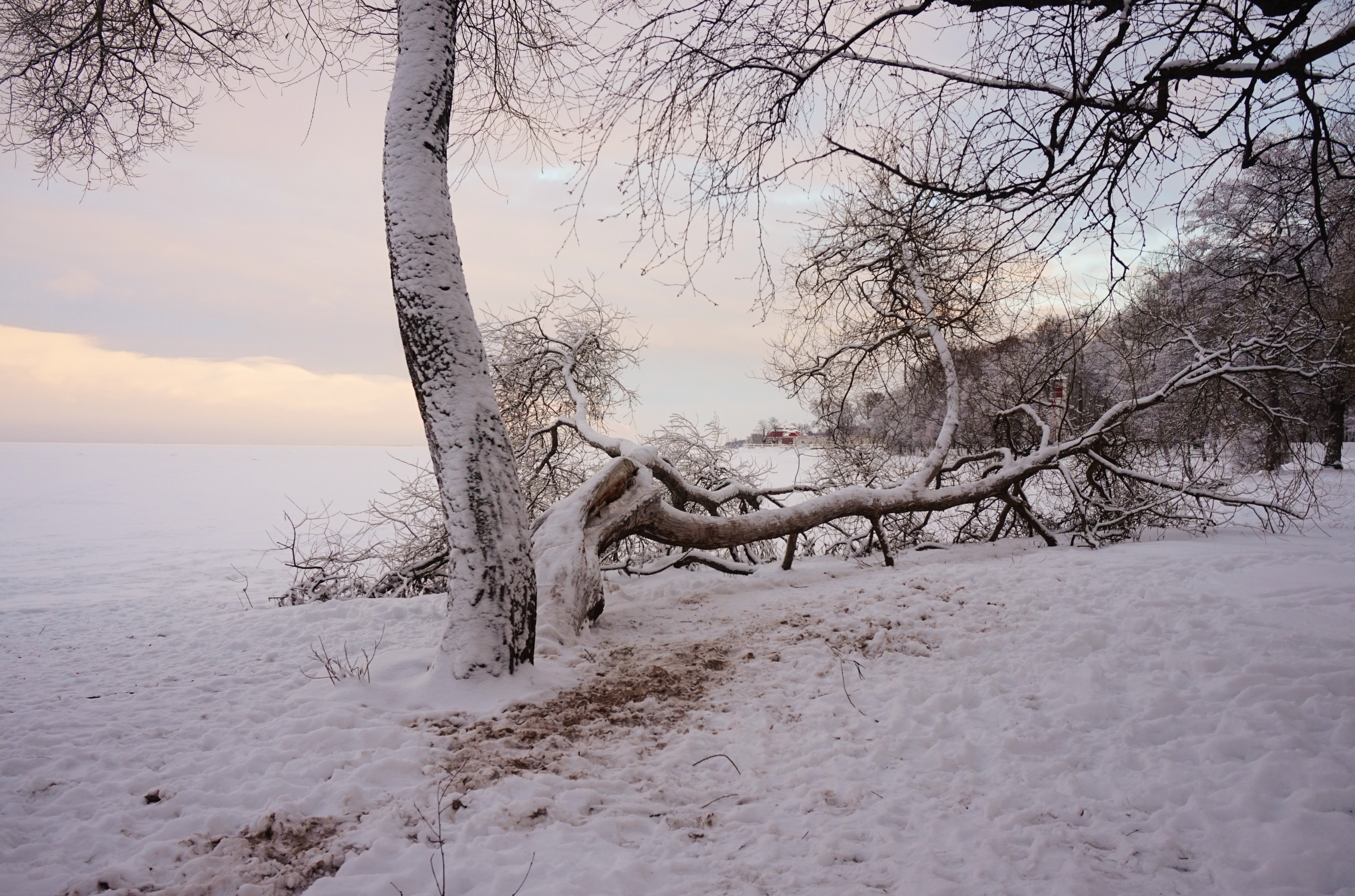 Финский залив зимой Петергоф