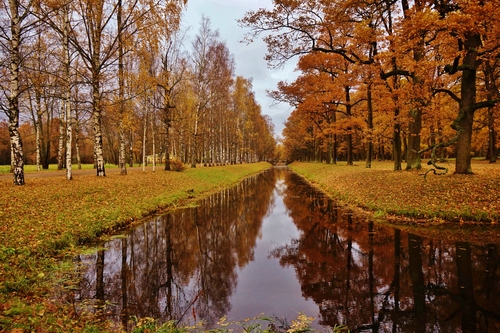 Золотое Царское Село