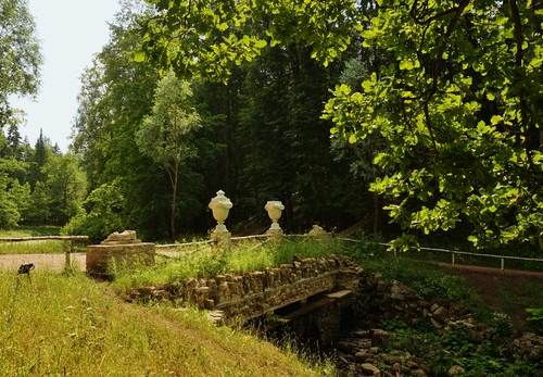 В Павловском парке