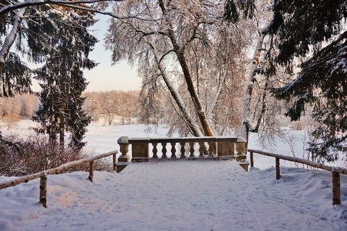 Павловск зимний