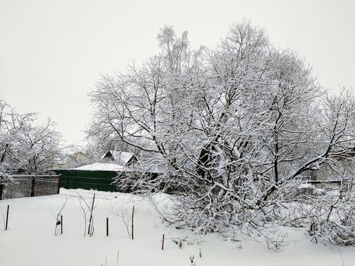 Зима в поселке...