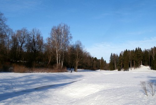 Прогулка по парку