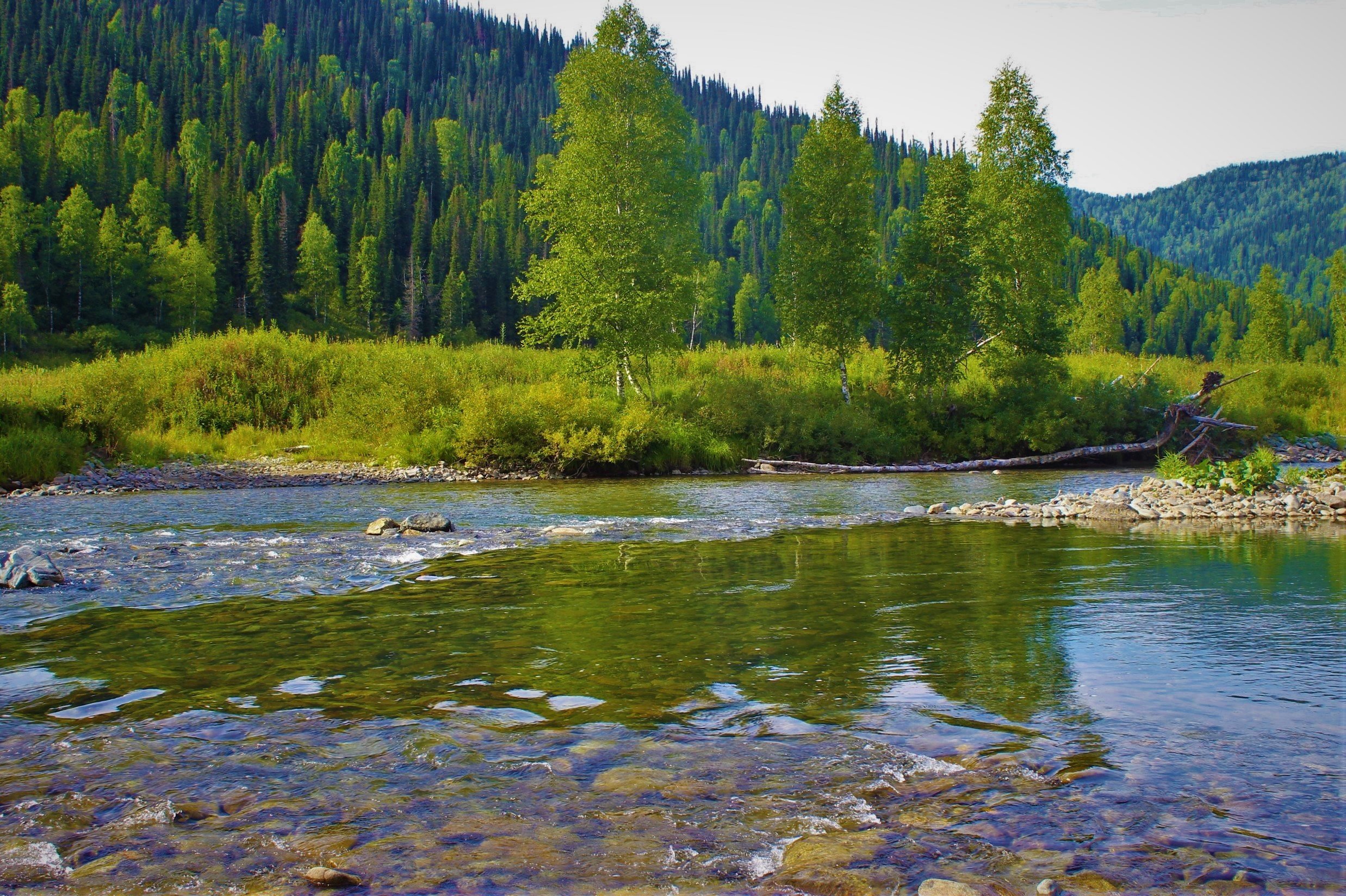 Река уса самарская область фото