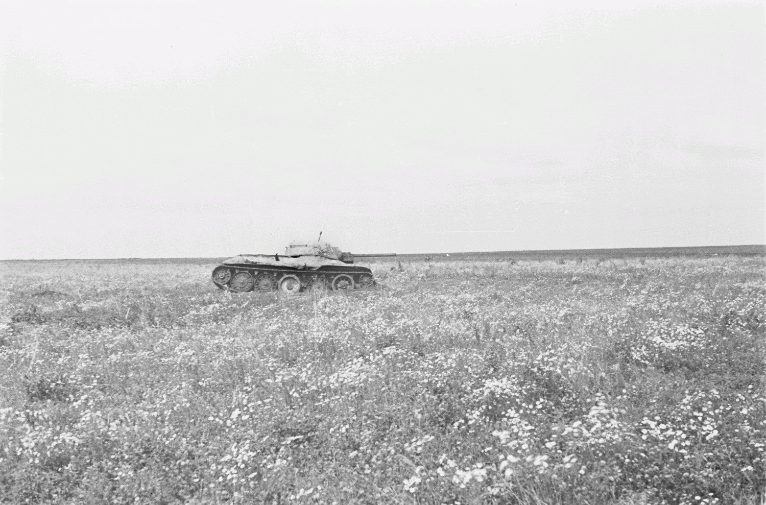 Front pictures. Военное поле. Военное поле чб. Танковый бой в степи. Поле танков СССР.