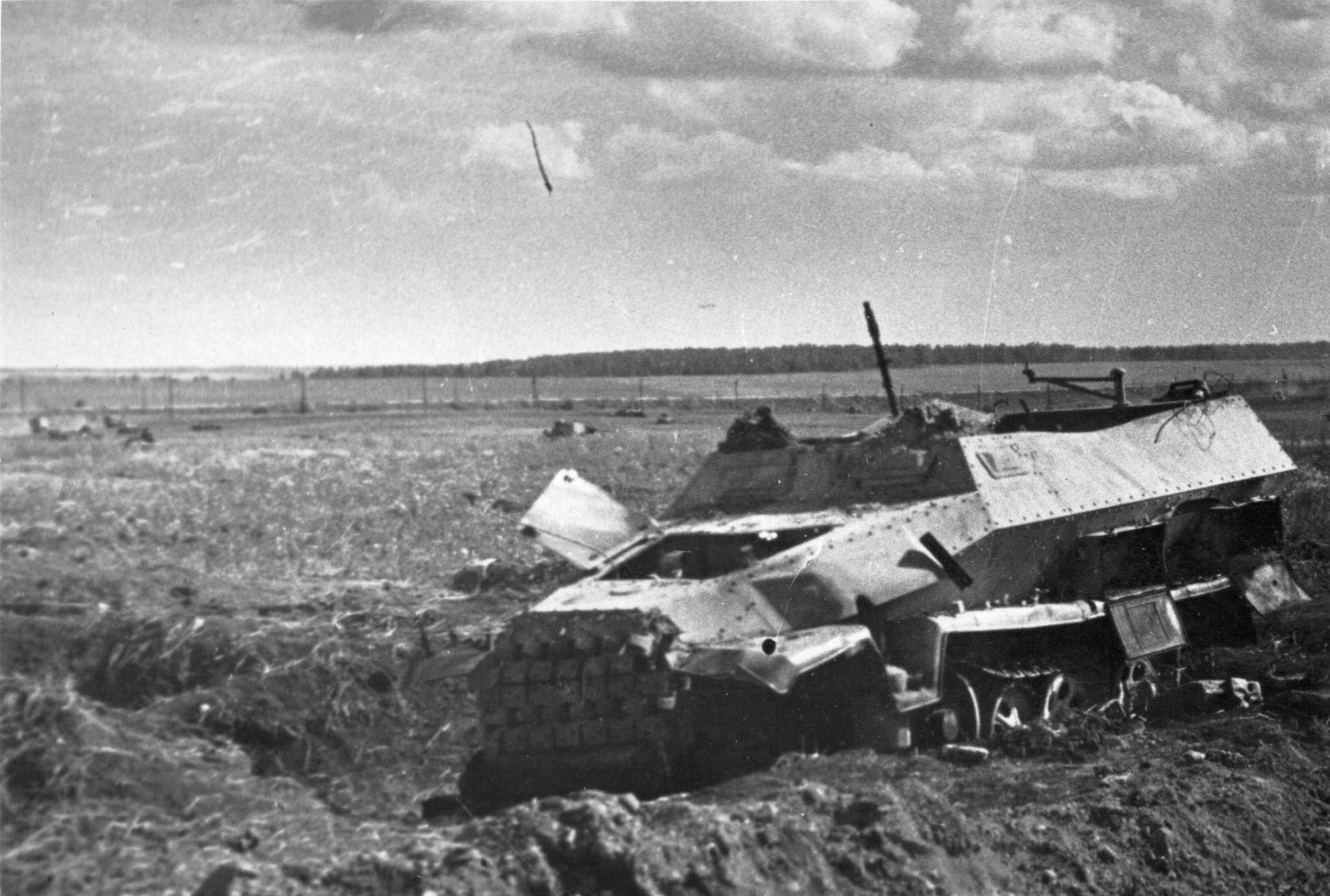 Танковое поле под прохоровкой фото