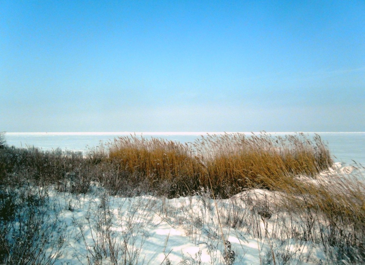 Кубанские зимы. Природа Кубани зимой. Кубанская зима. Тбилисское море зимой. Азовское море в феврале.