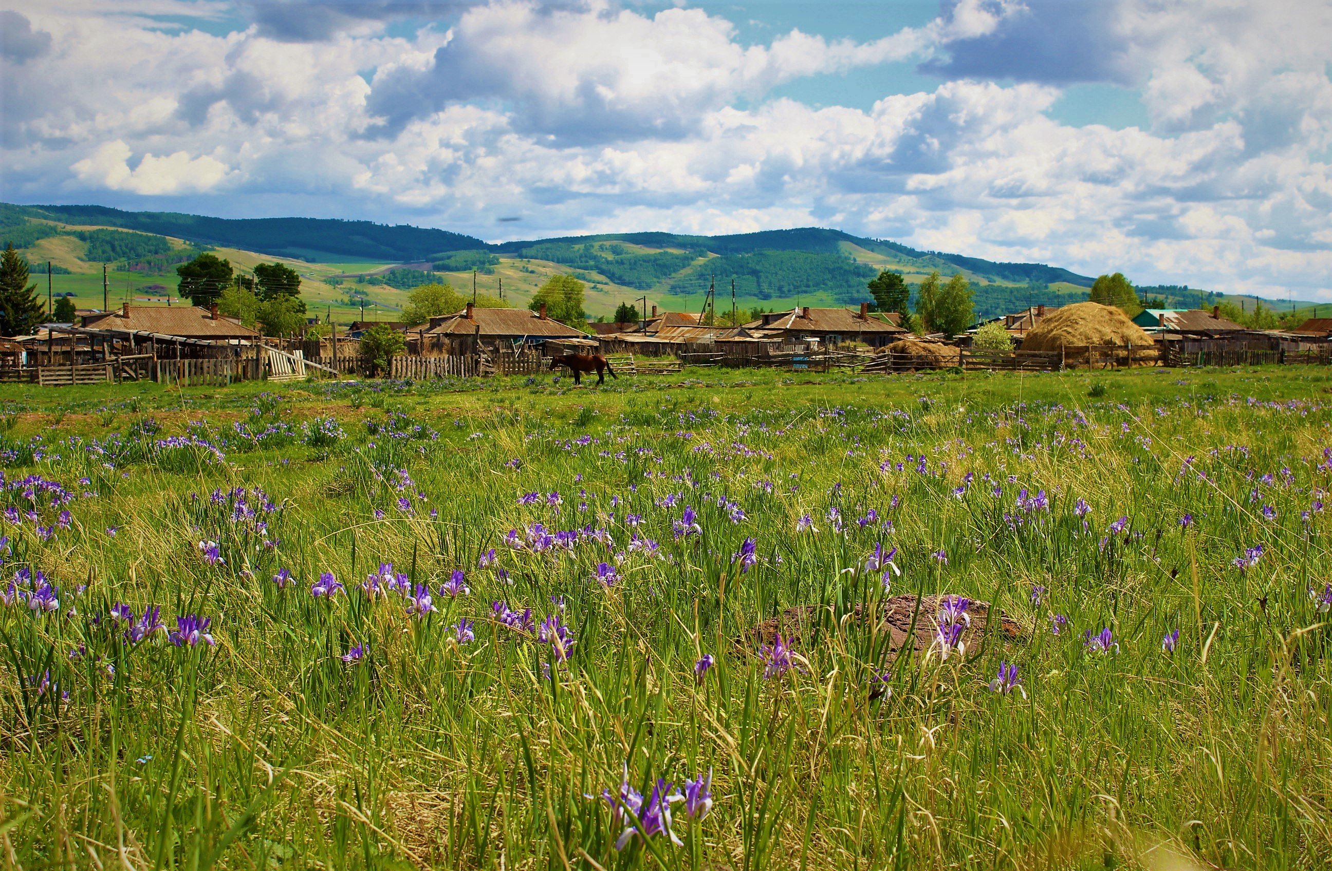 Село бея хакасия фото