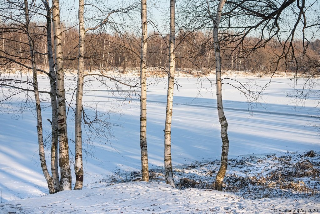 Семь сестер