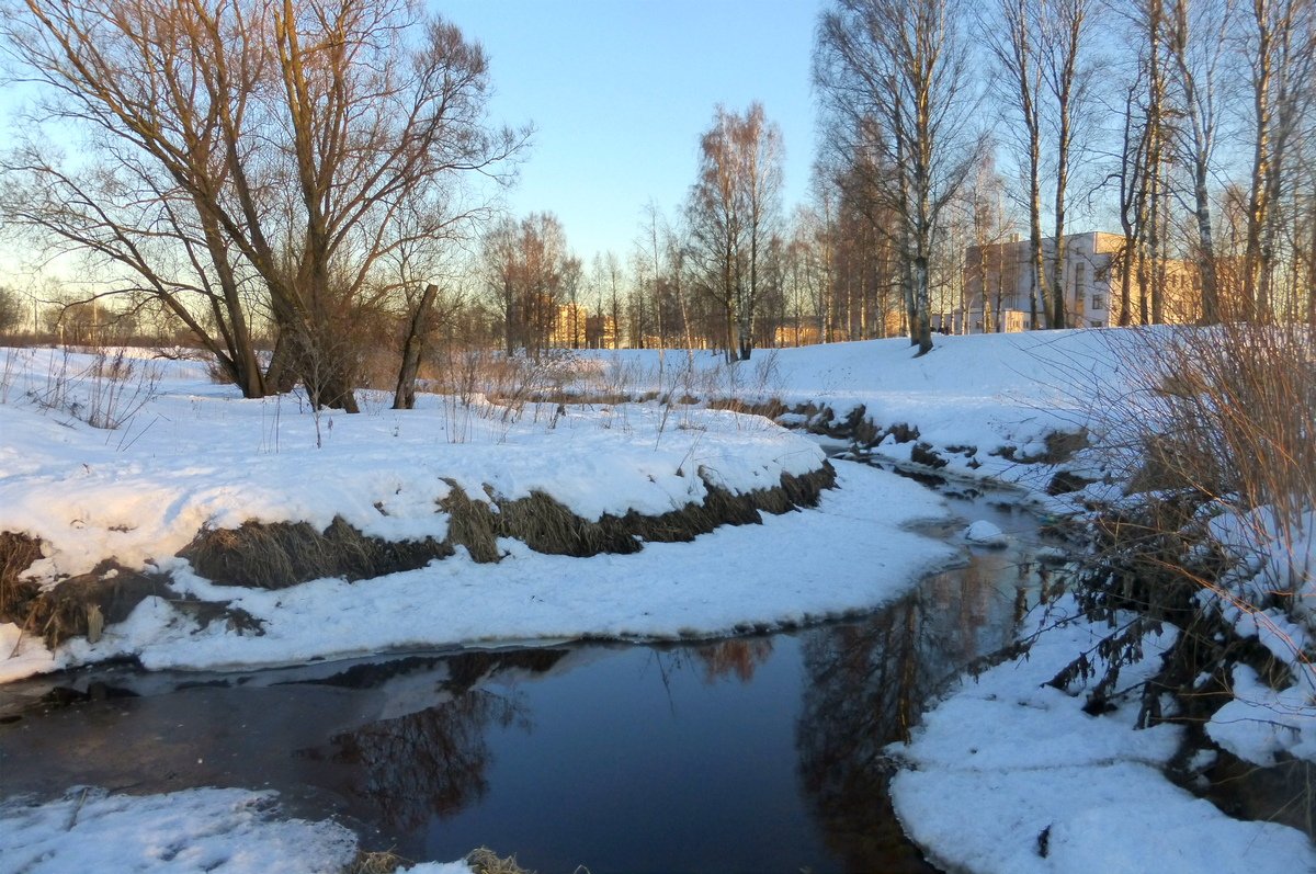 Ручьи спб. Весна ручьи в городе. Незамерзающий ручей. Ручей снежной Красногорский район. Новый Ручеек.