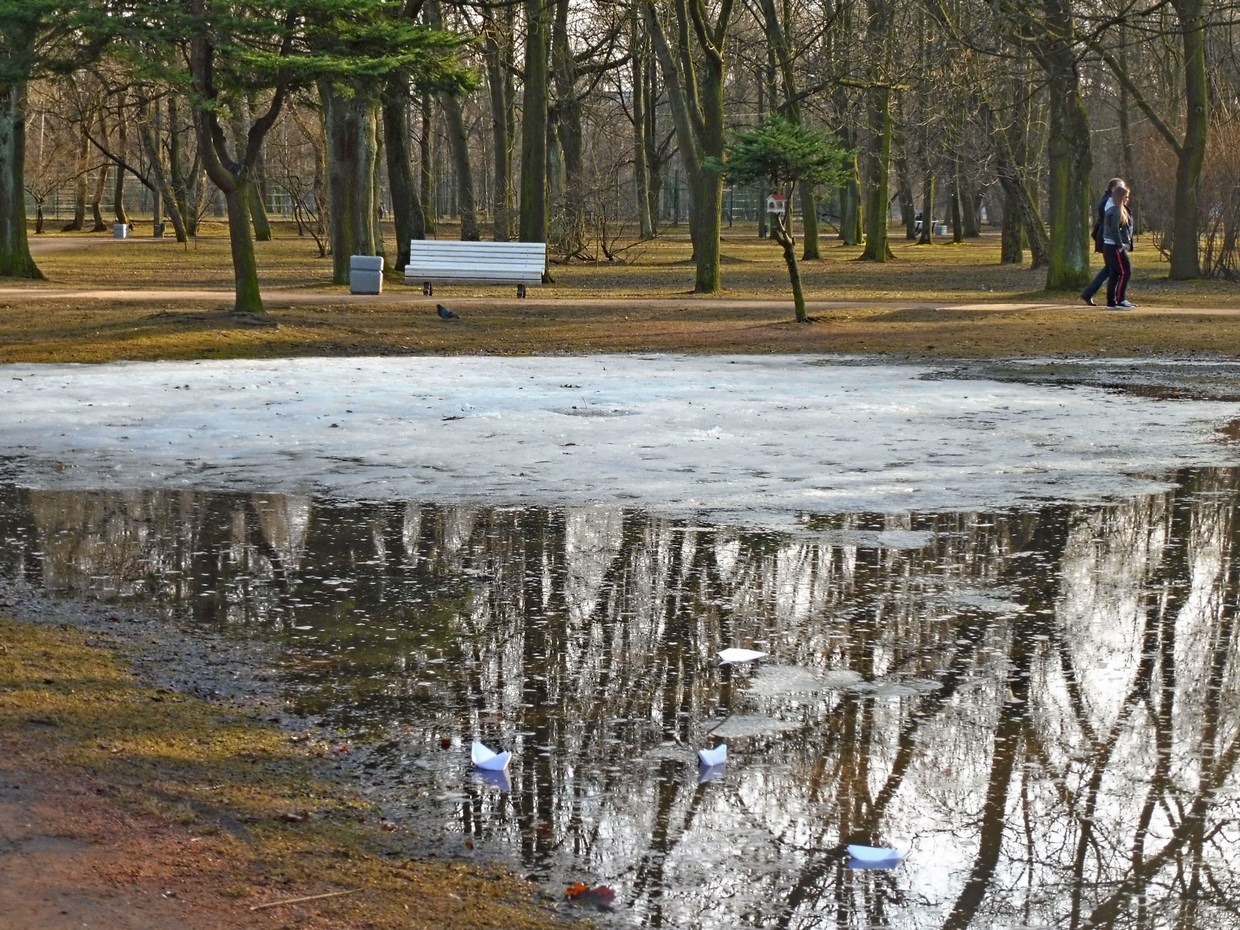 Лишь весной. Весна парк. Весна в России. Весна в парках фото. Весна отражение деревьев в реке фото.