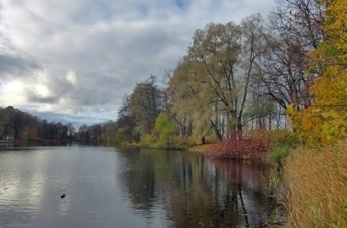 Краски поздней осени