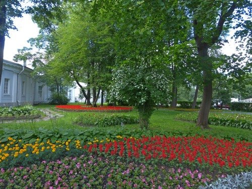 Парк, лето и цветы