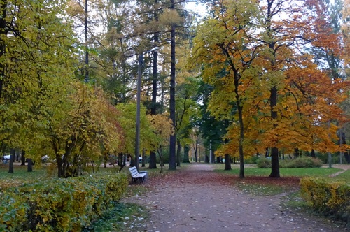 Осень в Сосновке