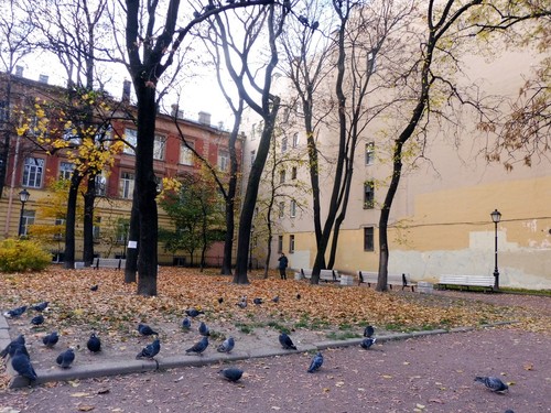 Осень и голуби