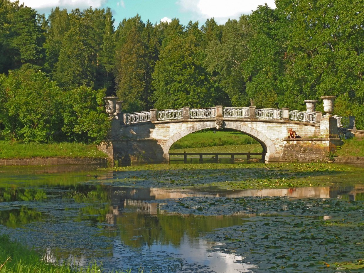 Павловск висконтиев мост