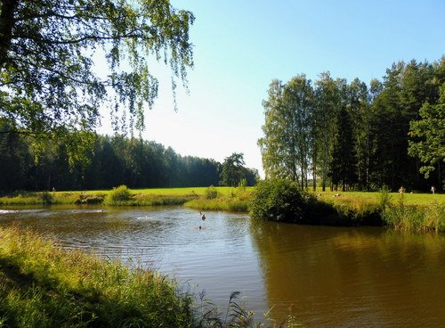 Лето, солнце и река