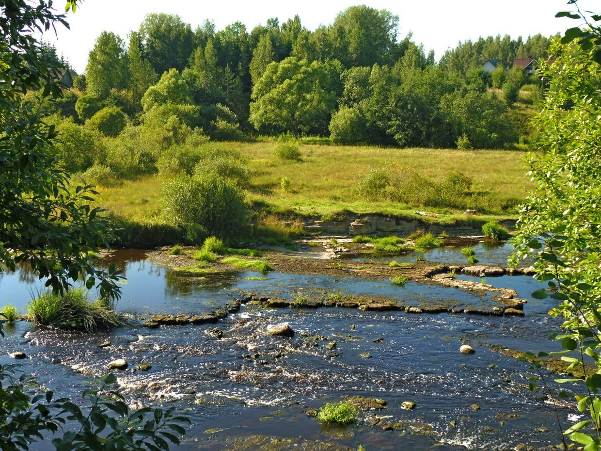 Река тосна. Тосно речка. СПБ река Тосна. Река Тосна Ленинградская область рыбалка.