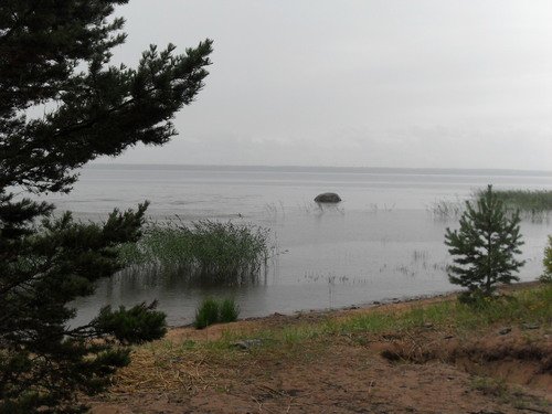 Онежское озеро