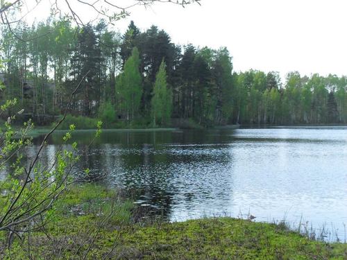 Озеро, весна