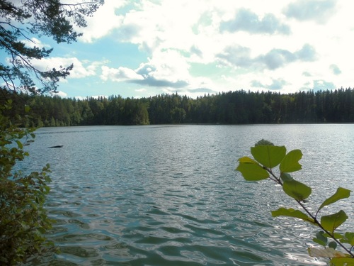 Озеро Ольховое
