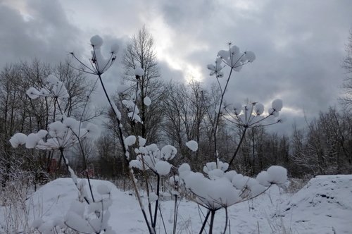 Снежные танцовщицы