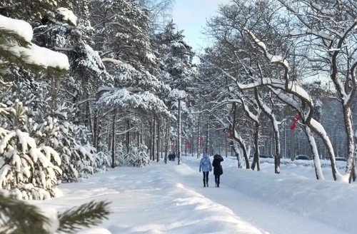 Прогулка в зиму
