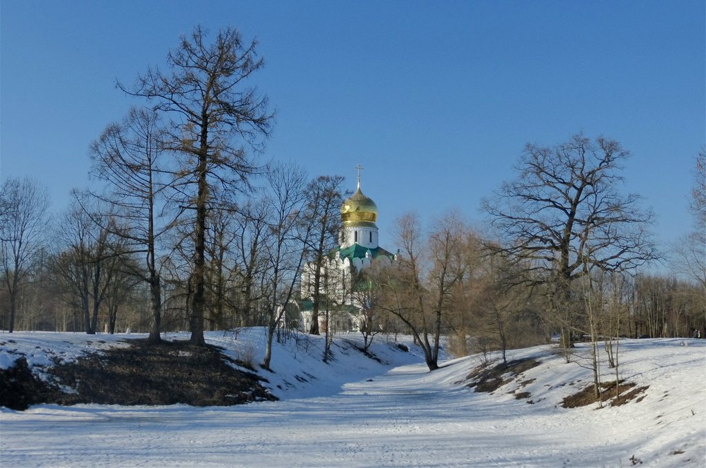 Федоровский собор в Пушкине зимой