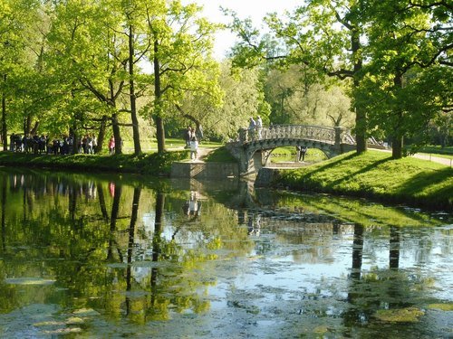 Весенний парк с мостиком