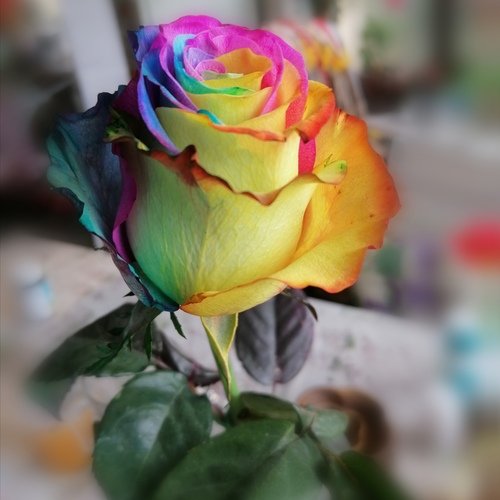 Современный гибрид