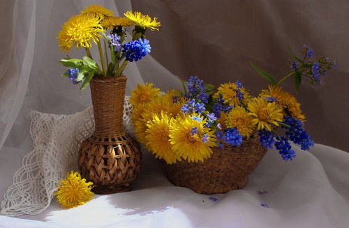 композиция из одуванчиков и голубых цветов