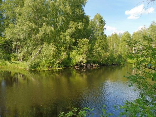 Рускеальский пейзаж