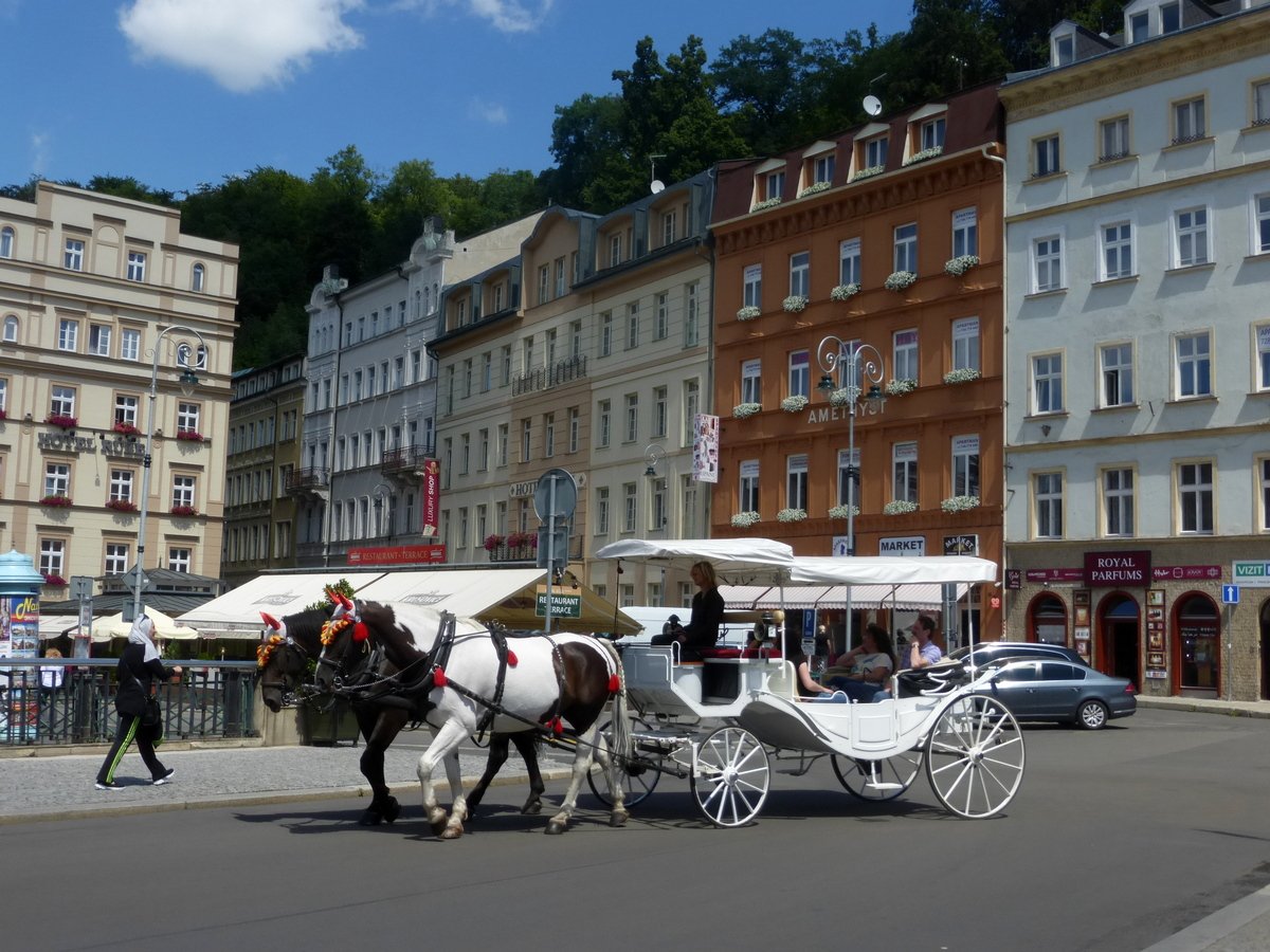 Фото карлов. Карловы вары в Санкт Петербурге.