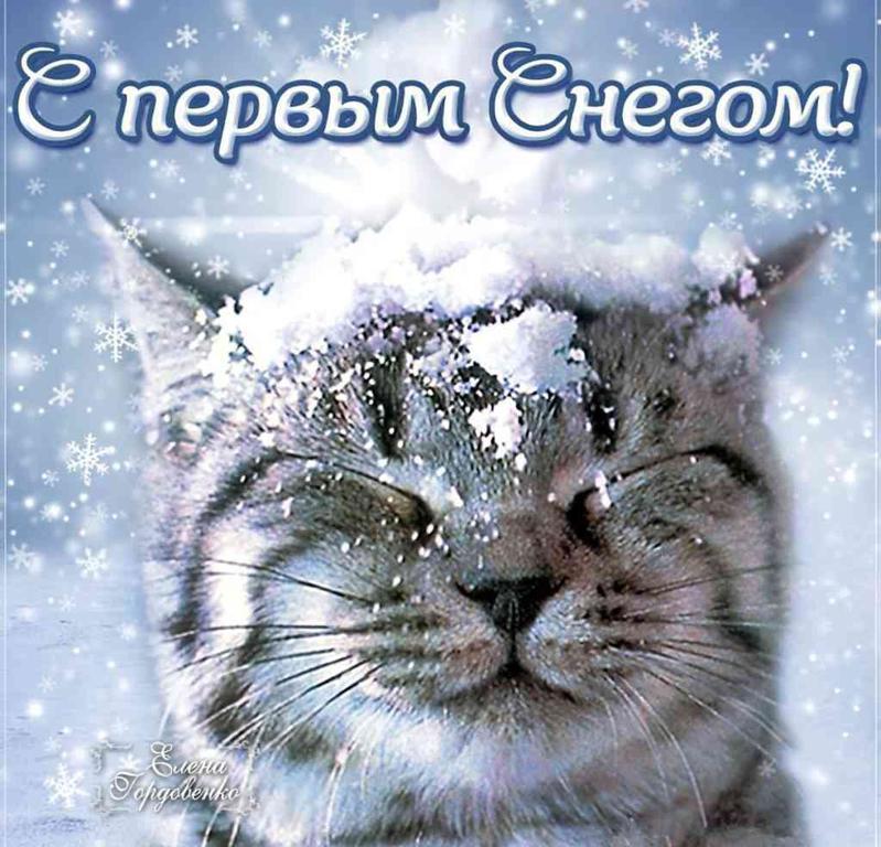 Первый снег. Первый снег. Поздравление с первым снегом. Открытка с первым снегом хорошего дня. Открытка с первым снегом красивая.