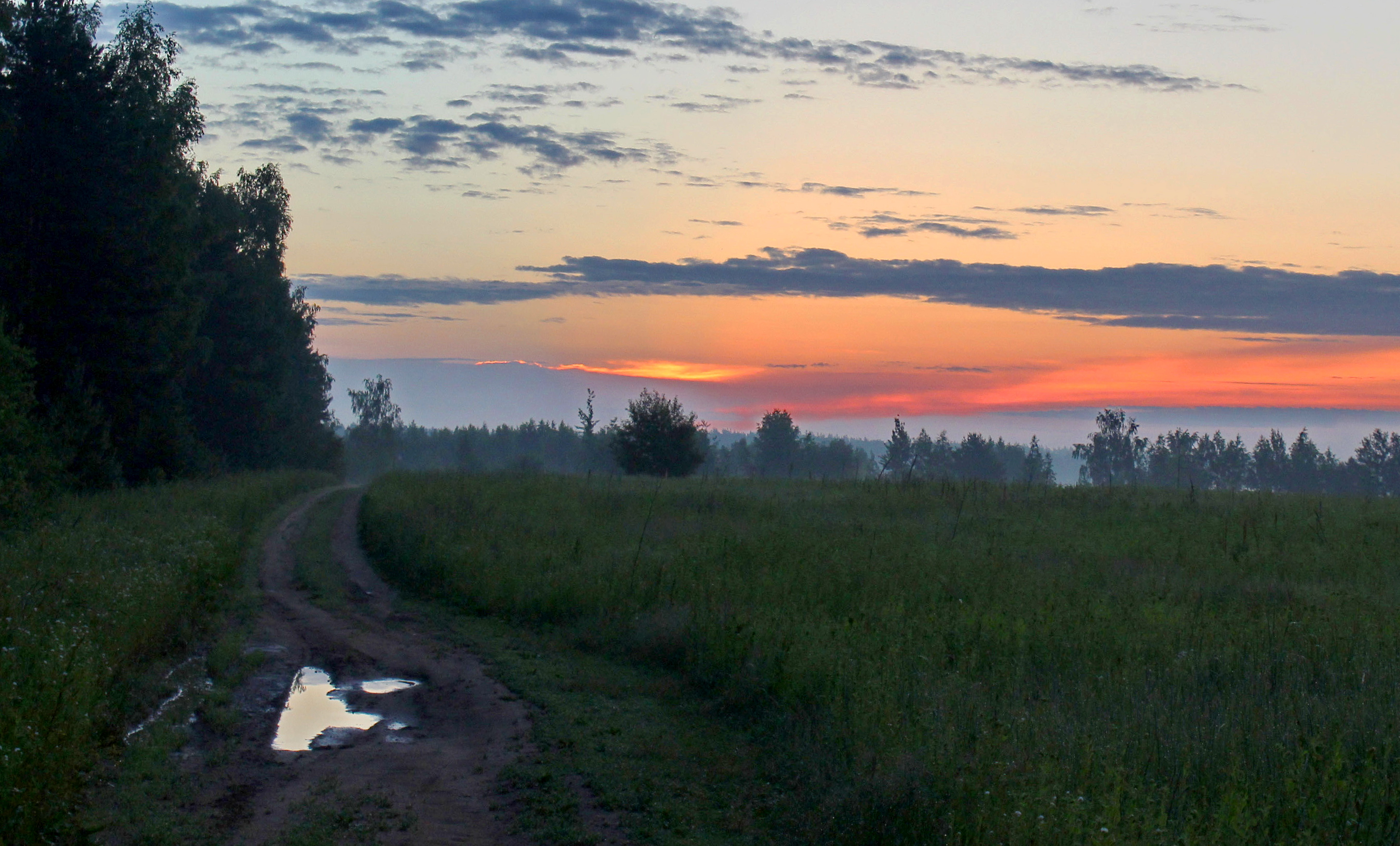 Текст раннее летнее утро. Природа в Рязанской области раняя лето. Канск летом раннее утро. Лето раннее утро Рязань. Летнее утро Саранск.