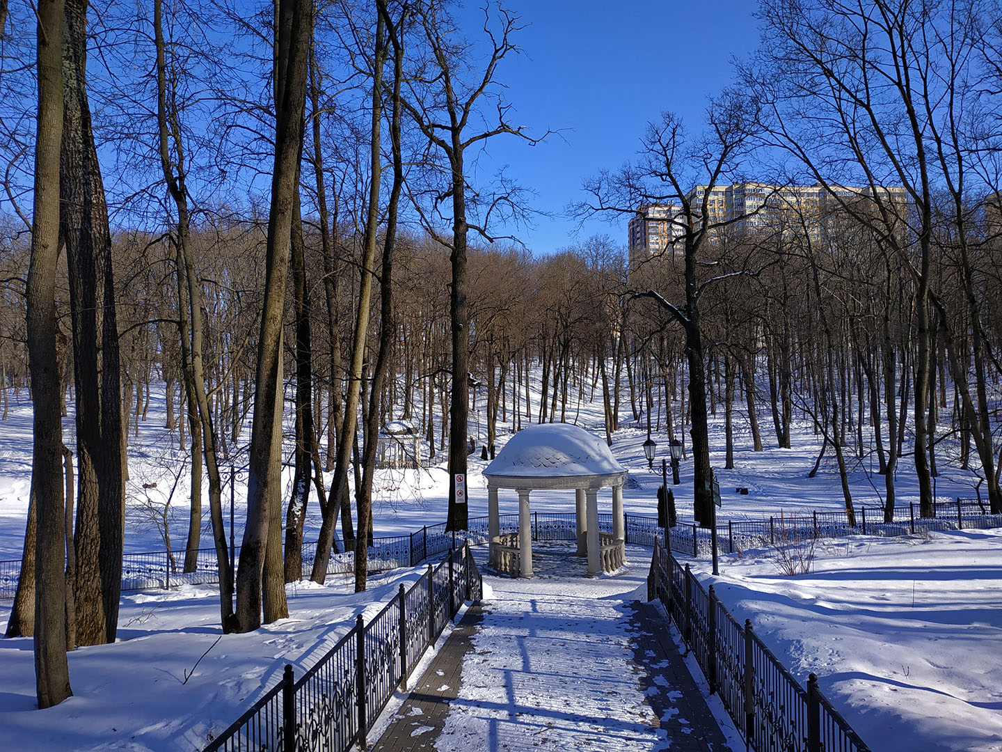 Платоновский парк зимой тула
