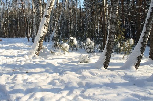 Зимний пейзаж