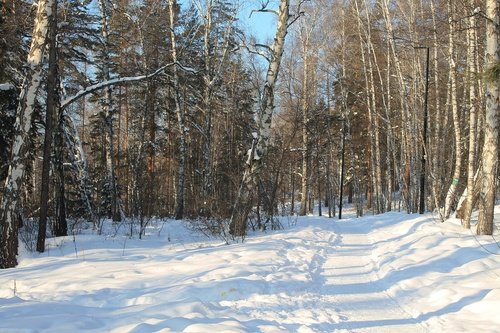 Зимний пейзаж