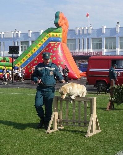 итоги тематического конкурса "СОБАЧЬЯ ЖИЗНЬ"