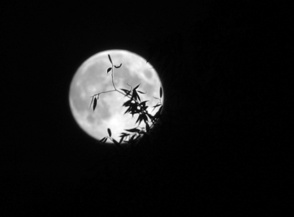 Https lunar. Улетел на луну. Быстро летит Луна. Фотообои на рабочий стол летаем под луной. Свеча улетает на луну.