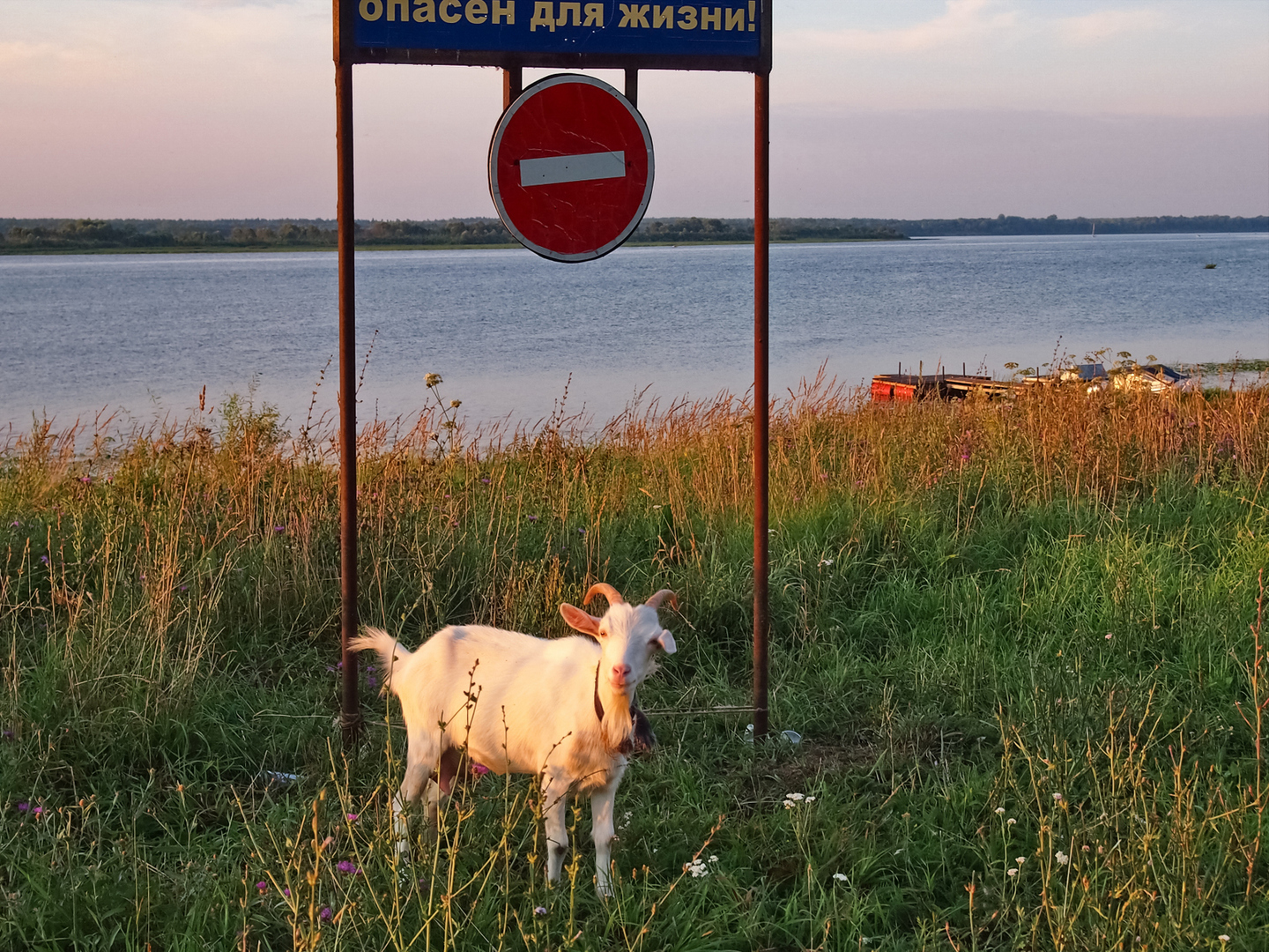 Купание запрещено. Купание запрещено табличка. Купаться запрещено у пруда. Знаки запрещающие купание в водоемах.