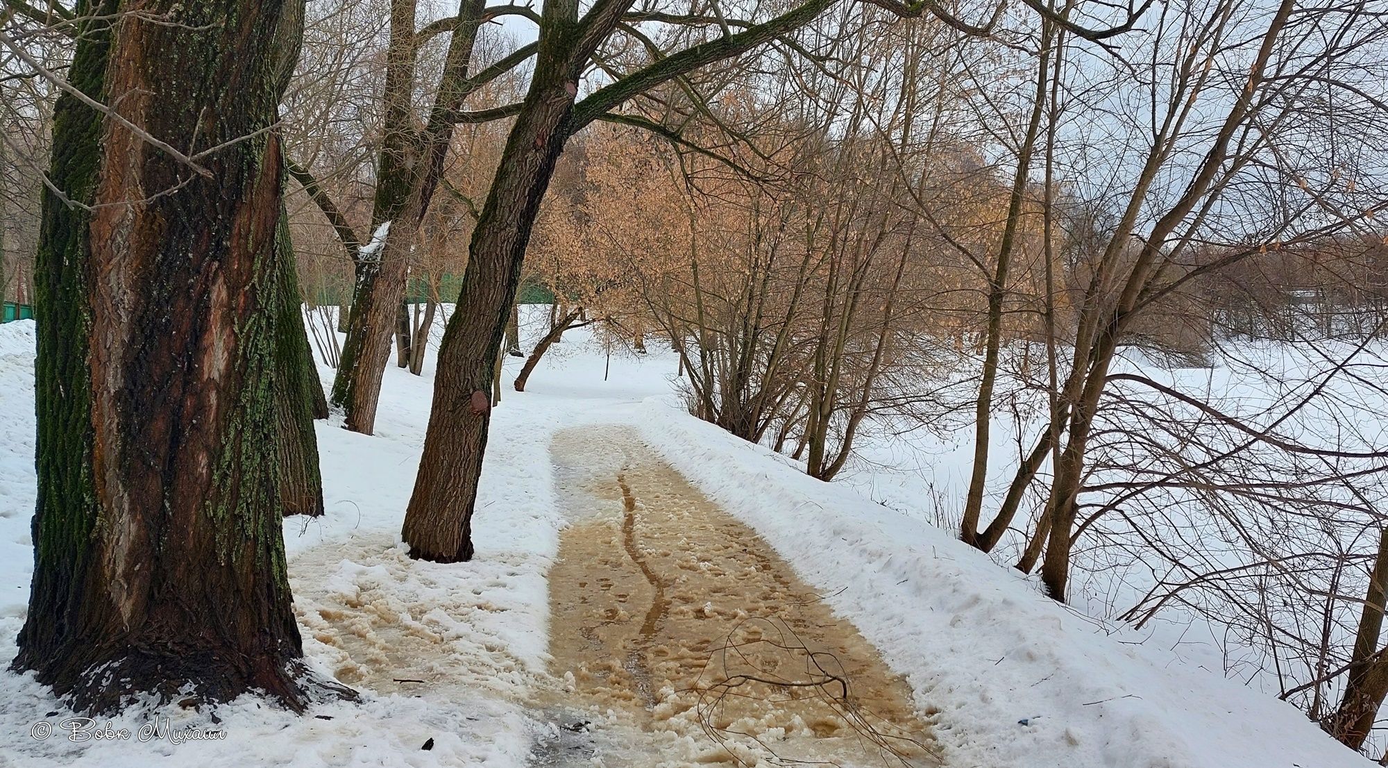 измайловский остров зимой