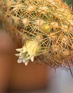 Эх, солнышка бы...