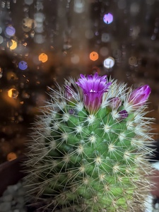 А на улице идет дождь