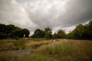 Сентябрьское...