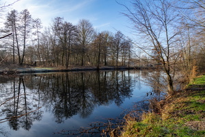 Мороз и солнце...