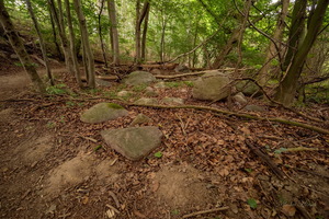 Лесные камни...